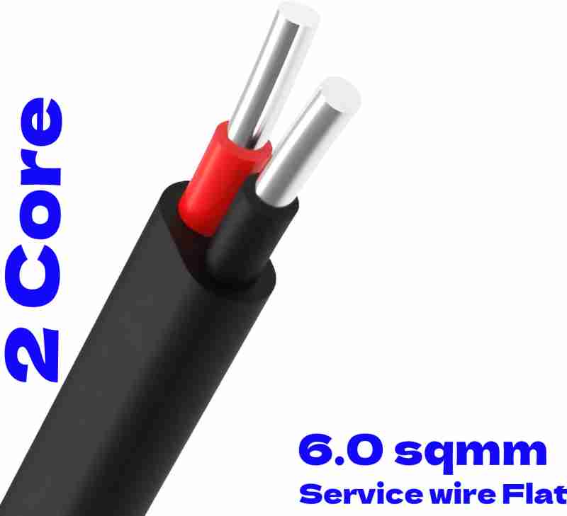 6mm service wire(1mtr)